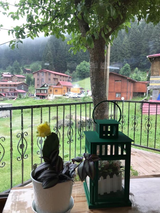 Guesthouse Dolunay Ayder Exterior foto