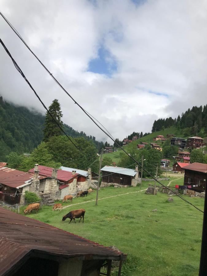 Guesthouse Dolunay Ayder Exterior foto