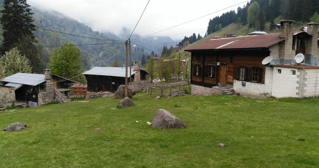 Guesthouse Dolunay Ayder Exterior foto